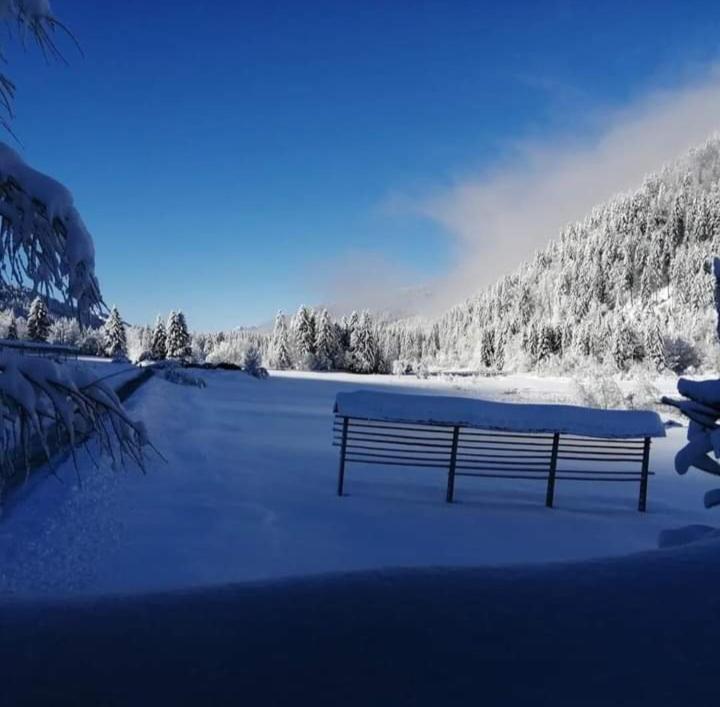 Apartments Podkoren 82 Kranjska Gora Ngoại thất bức ảnh